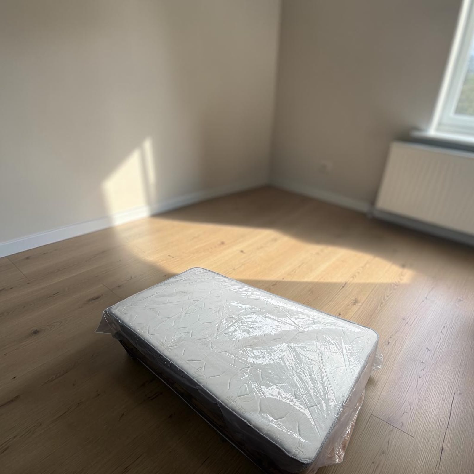 Vista 2